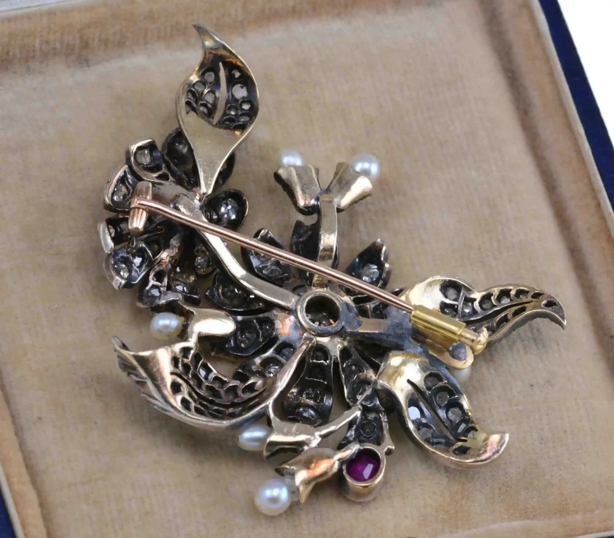 DSC_9949_wynik DSC_9949_wynik