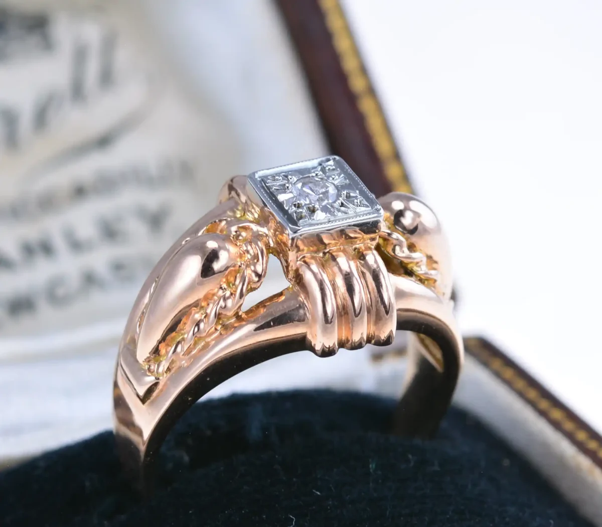 DSC_8288_wynik DSC_8288_wynik