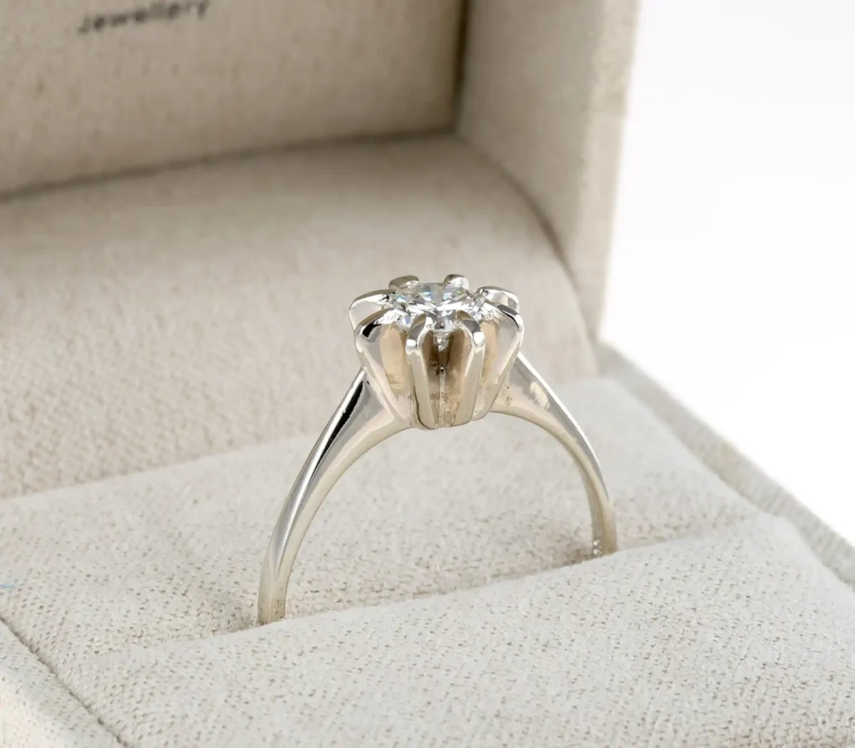 5I7A9648_wynik 5I7A9648_wynik