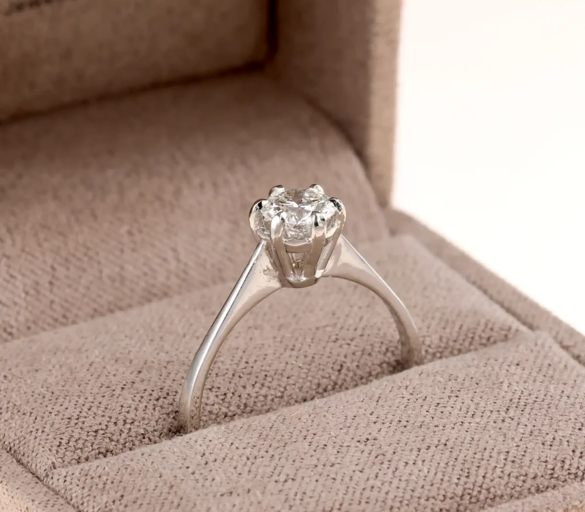 5I7A9660_wynik 5I7A9660_wynik